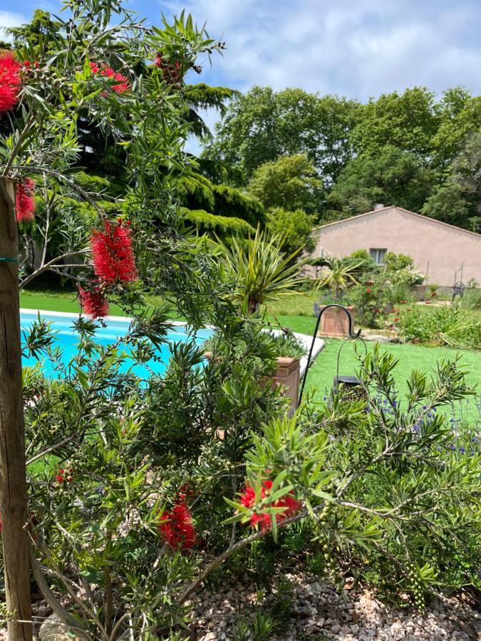 Suite A La Villa Cattus Bram Ngoại thất bức ảnh